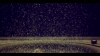 kingofheartsvideo-00369.jpg