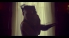 kingofheartsvideo-00565.jpg