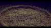 kingofheartsvideo-00579.jpg