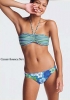 delias19.jpg