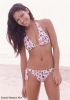 delias6.jpg