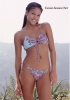delias7.jpg