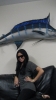l_2d16b2b4fe0b4ec4b0dd58ea4895dca4.jpg
