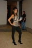trl009.jpg