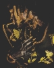 E18BAB1F-4EA7-4B19-B135-072D482E405B.jpeg